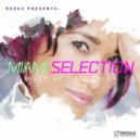 VA - Redux Miami Selection