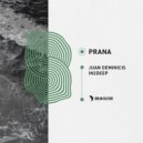 Juan Deminicis - Akasha