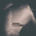 Antony Feber - Suspect