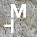 David Aurel, MR V - It's Time