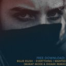 Billie Eilish - Everything I Wanted