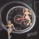 Senlim - 4 колеса