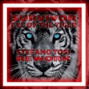 Survivor - Eye Of The Tiger