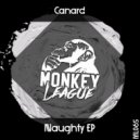 Canard - That\'s Why I Will See You (Original Mix)