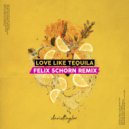 David Taylor - Love Like Tequila