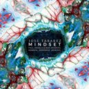 Jose Tabarez - Mindset