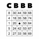 Carl Berner Bingo Bros & Psychic Arm - Product Information