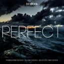 DJ KROHA - Perfect #003