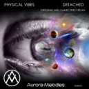 Physical Vibes - Detached