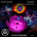 David Surok - Moment