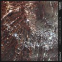 Tymotica - Prox System