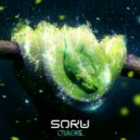 Soru - Bones