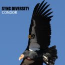 Sync Diversity - Condor (Original Mix)