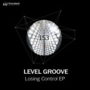Level Groove - Losing Control