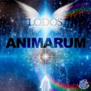 Lodos - Zangariya