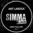 Ant LaRock - Want You Love