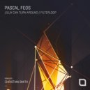 Pascal FEOS - Filterloop