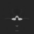 Personnage - Sanctuary