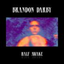 Brandon Darby - Sinking Into The Void