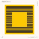 Ango Tamarin - What Was That?