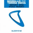 Erick Morillo feat. Terra Deva - What Do You Want
