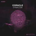 Dynacom (ARG) - Apofenia