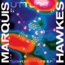 Mark Hawkins - Dreamy