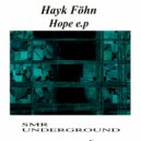Hayk Föhn - Hope