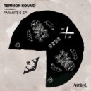 Ternion Sound - Nicky P