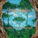 Mandala (UK) & Braincell - Undercover Baba