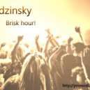 Dj Sadzinsky - Brisk hour!