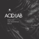 Acid Lab - Our Meditation (Original Mix)