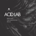 Acid Lab - Relics