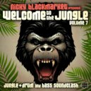 Aries & Nicky Blackmarket - One Part Jungle