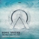 Sonic Species - The First And The Last