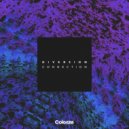 Diversion & Fynn - Paradox