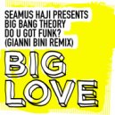 Seamus Haji Presents Big Bang Theory - Do U Got Funk?