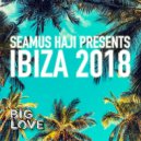 Seamus Haji Presents Big Bang Theory - Saw Your Face (Original Mix)