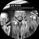 Joe Blake - You Are No Longer Alone (Original Mix)