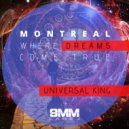 Universal King & Shawn James - Now or Never (feat. Shawn James)