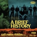 SOJA & Collie Buddz - A Brief History