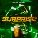 Capture the Bass & Misha B - Кумиры