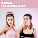 PRIZM - You Should Know (Instrumental)