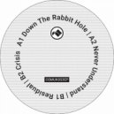 Overlook - Down The Rabbit Hole