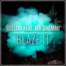 Bulljay feat. Mr. Shammi - Blaze It (LUM!X Radio Remix)