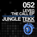 Leveg - Your Love (Original Mix)