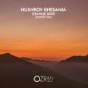 Hushrov Bhesania - Orange Skies