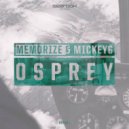 Memorize & MickeyG - Osprey
