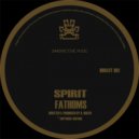 Spirit - Suspicion (Original Mix)