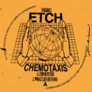 Etch - Prismatic